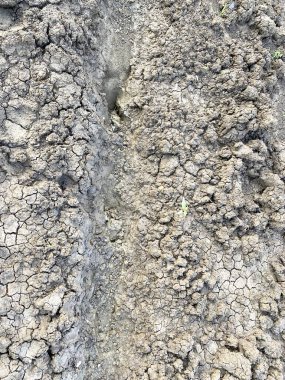 kuru çatlamış toprak dokusu arka planı