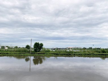 Khlong Preng Kanalı, Chachoengsao Tayland