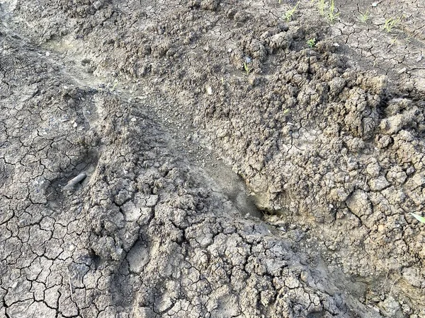 Текстура Сухой Трещины Почвы — стоковое фото