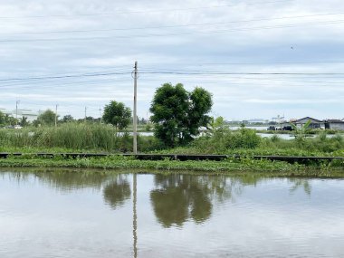 Khlong Preng Kanalı, Chachoengsao Tayland
