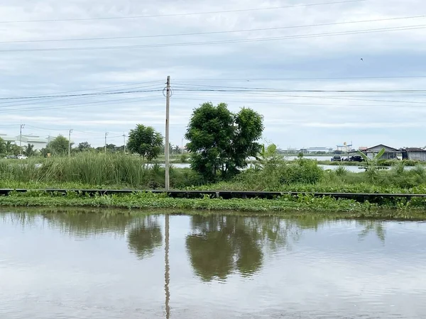 Khlong Preng Kanalı Chachoengsao Tayland — Stok fotoğraf