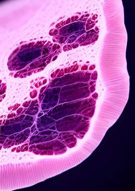 Kanlı hücrelerin sanat rengi