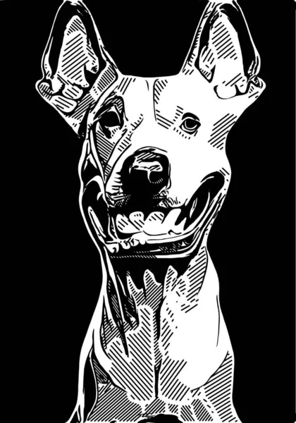 Blanco Negro Dibujos Animados Para Perros — Foto de Stock
