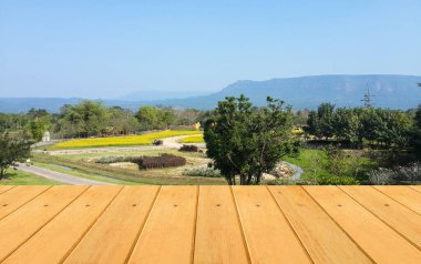 boş ahşap masa yeşil çimenler ve mavi gökyüzü