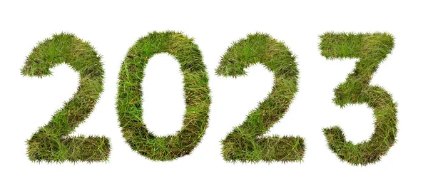 Beyaz arkaplanda 2023 numara