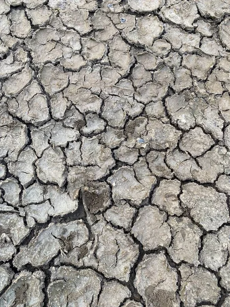 Terra Screpolata Consistenza Secca Del Suolo — Foto Stock