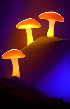 Mağara arka planında mantar