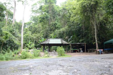 Parktaki eski ahşap köprü.