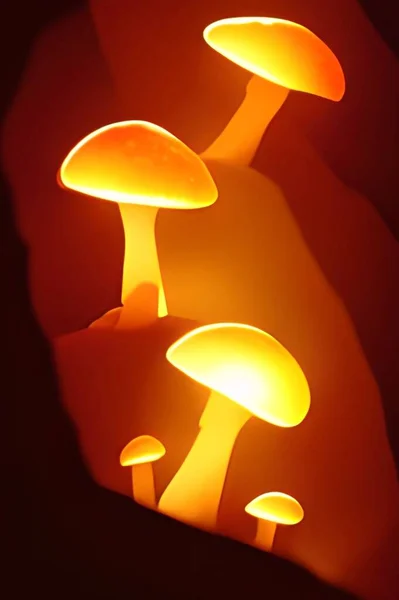 Close Mushroom Cave — стоковое фото