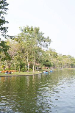 Parktaki nehrin güzel manzarası