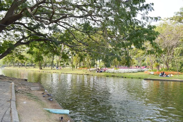 Tayland 'da güzel bir park manzarası
