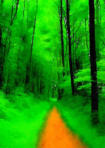 Árboles Del Bosque Verde Bosque — Foto de Stock