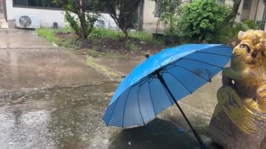 Şemsiye yağmur altında su damlalarına karşı arka planda