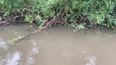 Ormandaki suyu kapat.