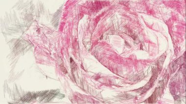 art color of rose flower background