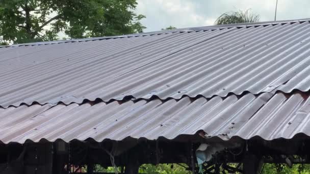Rain Storm Metal Sheet Roof Rainwater Flows Roof — Vídeo de Stock