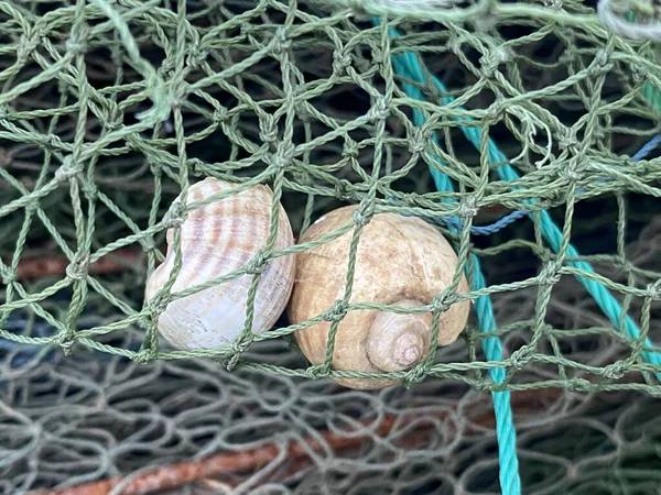 fishing net in industry site