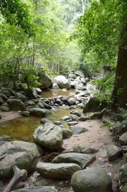 Chonburi Tayland 'da şelale.