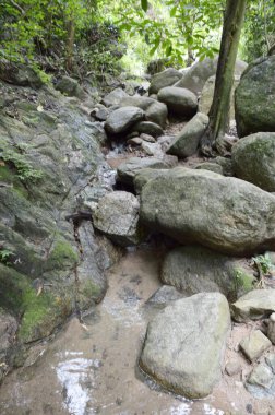 Chonburi Tayland 'daki ormanda güzel bir şelale.