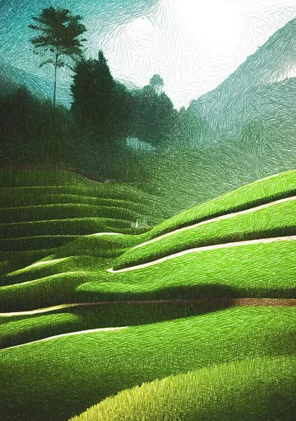Zelené Pole Rýžových Polí Severu Thajska — Stock fotografie