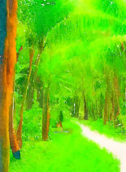 森林中的艺术色彩 — 图库照片
