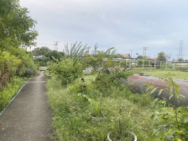 Chachoengsao Tayland 'da.