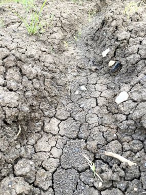 Topraktaki kuru ve çatlak toprak