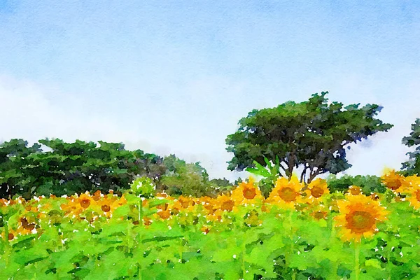 葵花园的艺术色彩 — 图库照片