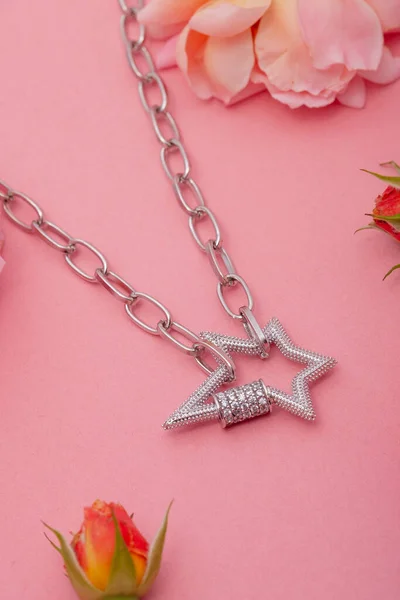 Still Life Jewelry Picture Online Sale Photo Silver Necklace Pink — Fotografia de Stock