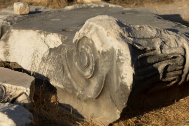 Didyma, Aydın, Türkiye - 2592022: Antik Apollo şehrinden ayrıntılar.