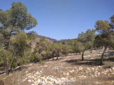 Afula Dağı Givat Hamore