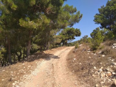 Afula Dağı Givat Hamore