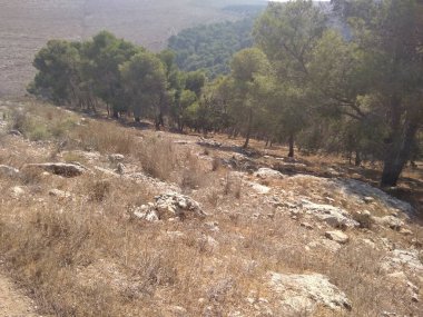 Afula Dağı Givat Hamore