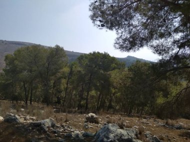 Afula Dağı Givat Hamore