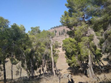 Afula Dağı Givat Hamore