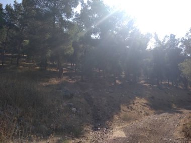 Afula Dağı Givat Hamore