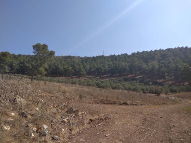 Afula Dağı Givat Hamore