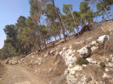 Afula Dağı Givat Hamore