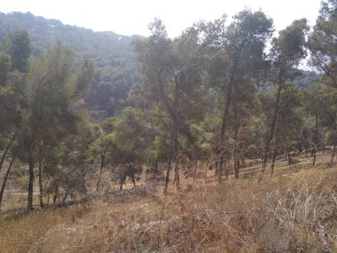 Afula Dağı Givat Hamore