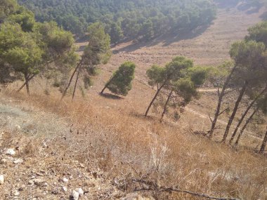 Afula Dağı Givat Hamore