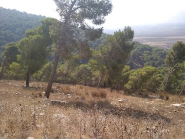 Afula Dağı Givat Hamore