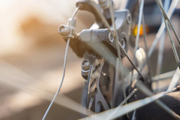 Scheibenbremsanlage Hinten Fahrrad — Stockfoto