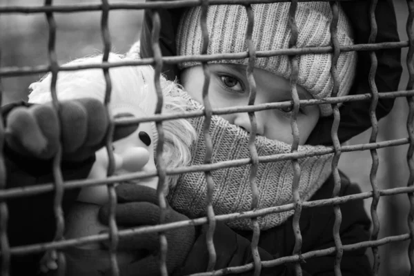 Egy Kis Menekült Lány Egy Játékkal Egy Fém Kerítés Mögött — Stock Fotó