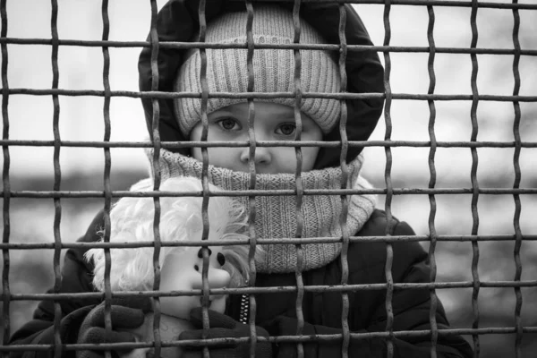 Egy Kis Menekült Lány Egy Játékkal Egy Fém Kerítés Mögött — Stock Fotó