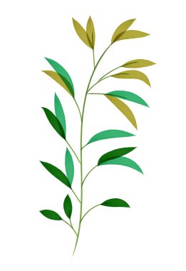 Watercolor branch with thin leaves. Hand-drawn isolated element for your design.