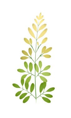 Delicate watercolor branch. Hand-drawn isolated element for your design.