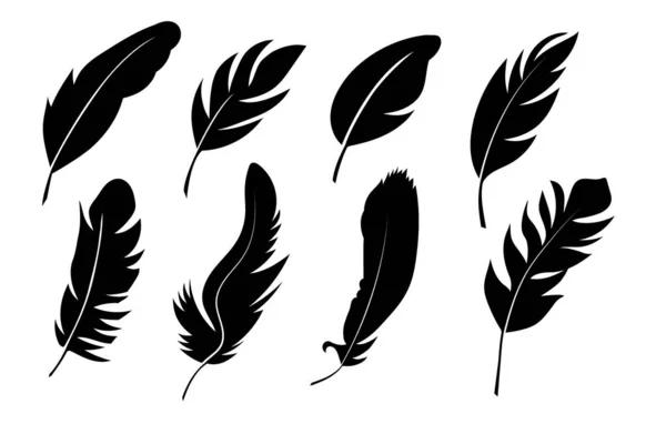 Collection Silhouettes Noires Une Plume Oiseau Sur Fond Blanc Illustration — Image vectorielle