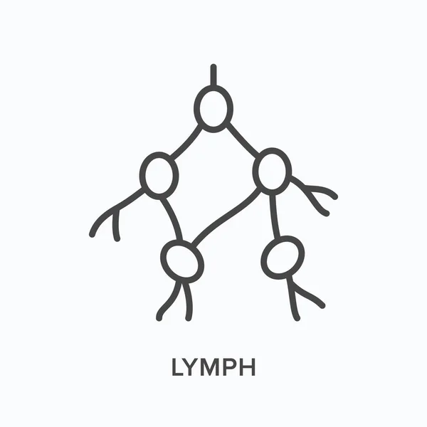 Ikon baris datar Lymph. Vektor menguraikan ilustrasi anatomi manusia. Pictogram linear tipis hitam untuk sistem limfatik - Stok Vektor