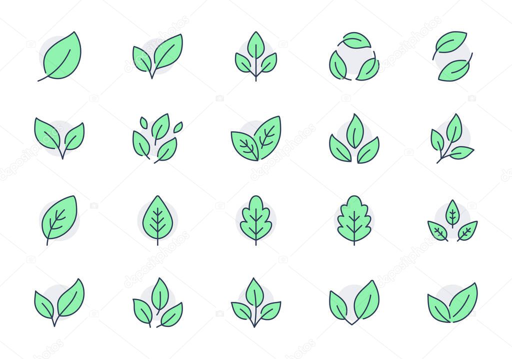 Leaf line icons. Vector illustration include icon - botany, herbal, ecology, bio, organic, vegetarian, eco, fresh, nature outline pictogram for flora. Green Color, Editable Stroke