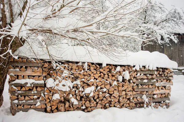 Pečlivě Naskládané Dřevěné Rohy Pod Hustě Zasněženou Vrbou — Stock fotografie